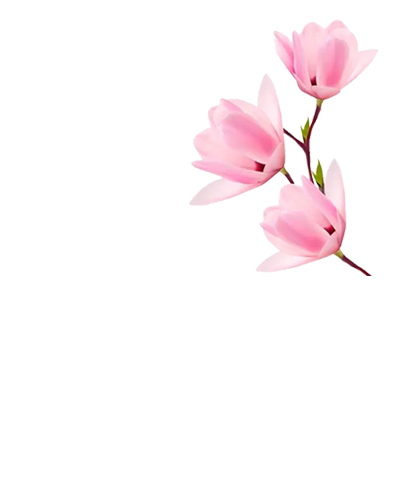 生态葬