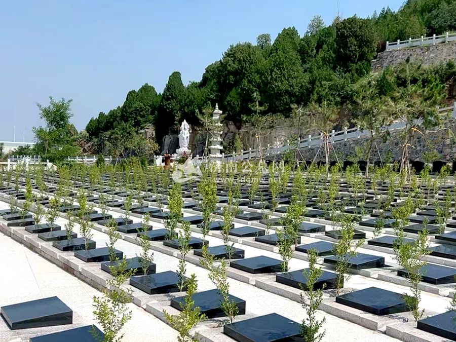 青龙山人文纪念园