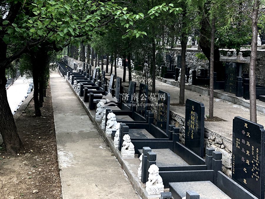 墓区环境