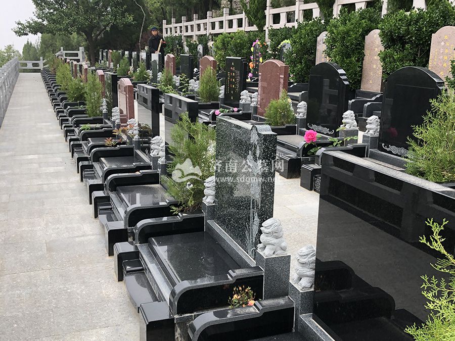 墓区环境