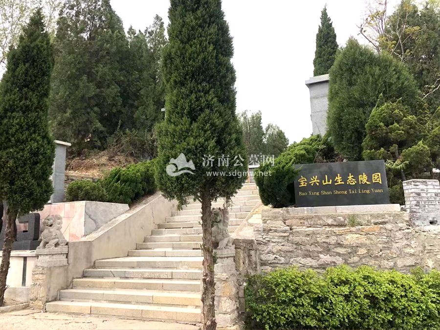 墓区环境