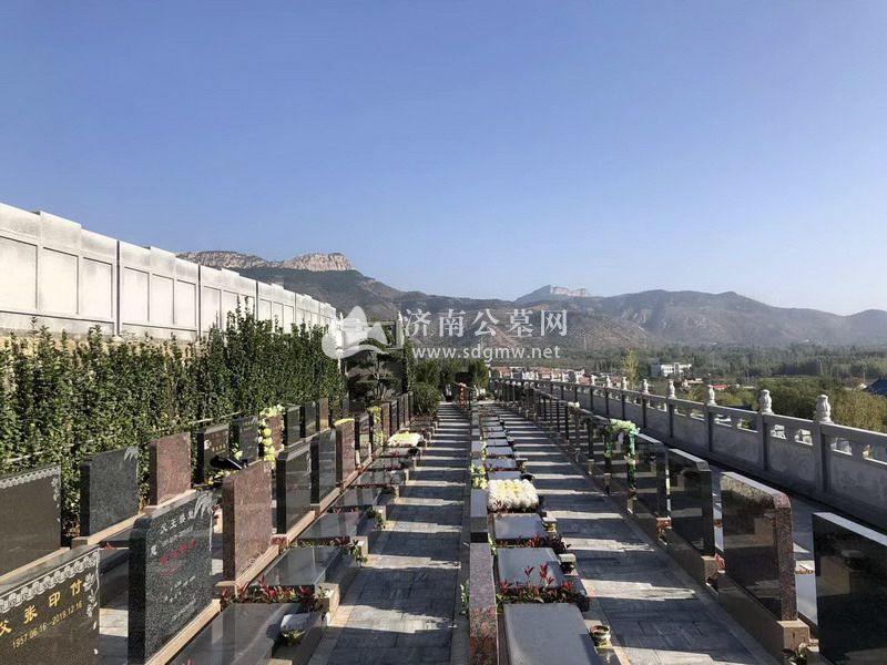 墓区环境