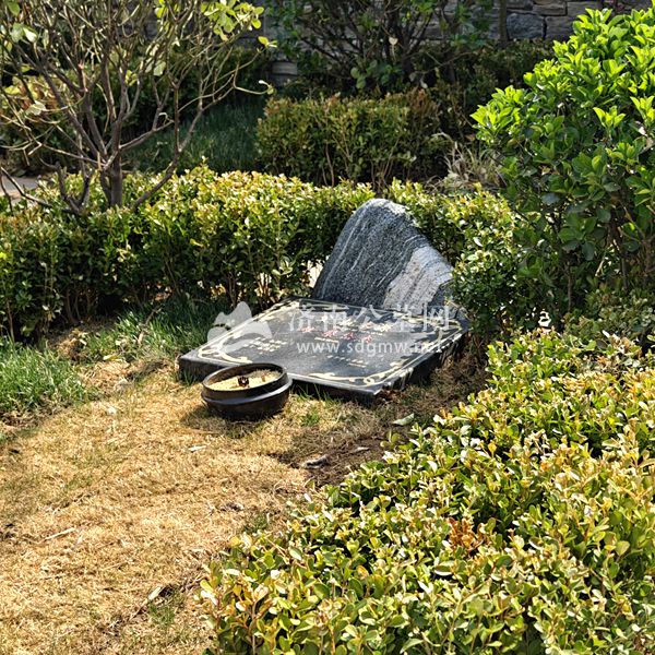多子山公墓陵园树葬