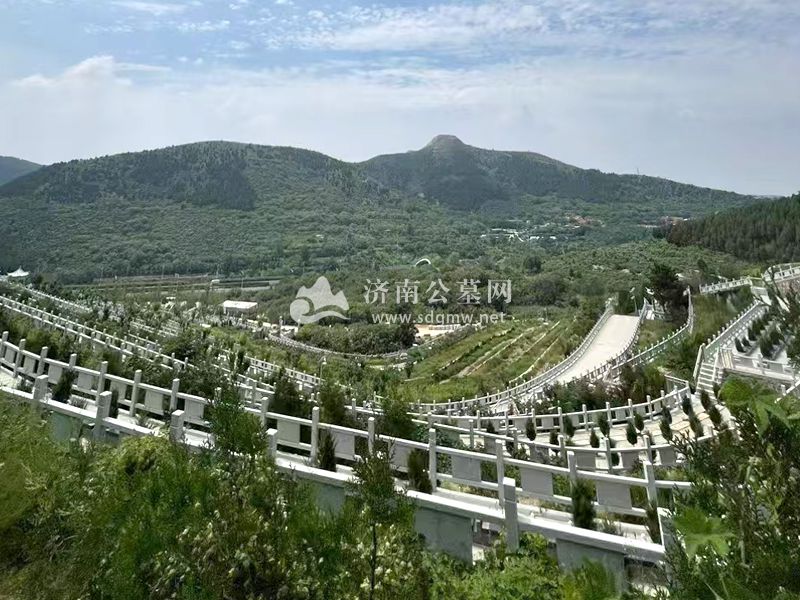 老人如果在家中去世，应如何处理？